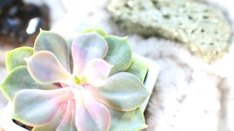 Birth Chart Reading - Tier 3 -- SOLD OUT TEMPORARILY