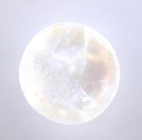New Moon and Full Moon Rituals