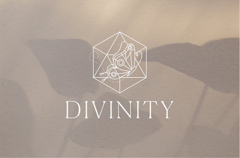 DIVINITY - THE MEMBERSHIP